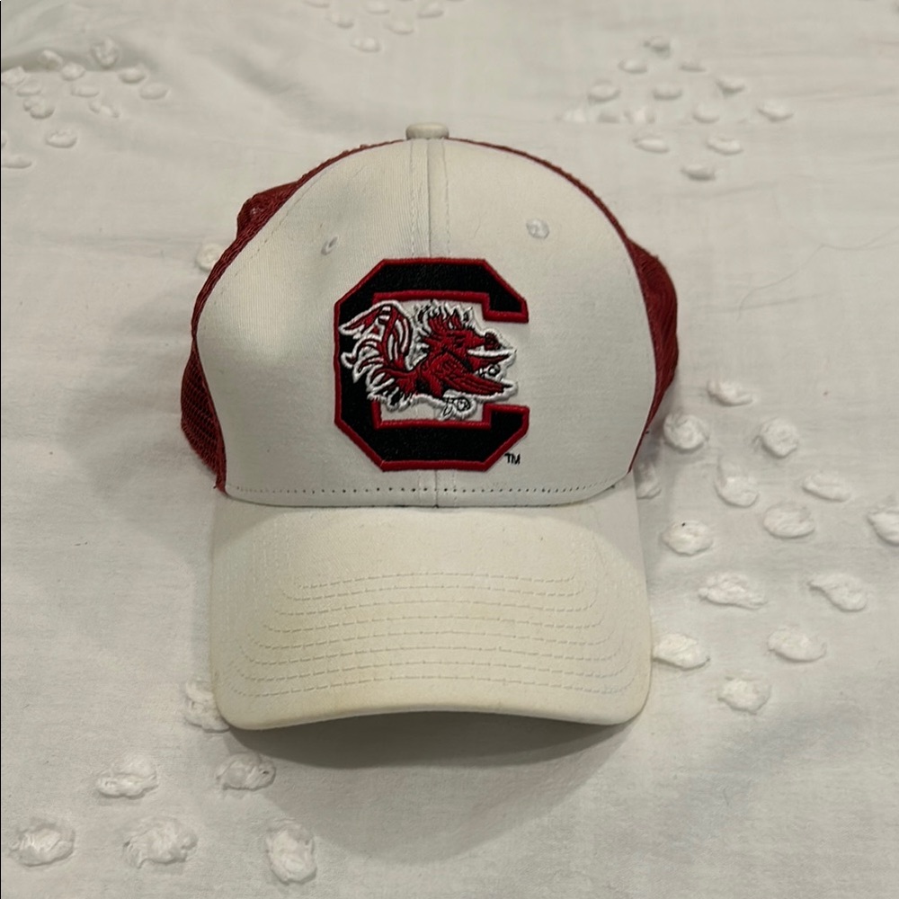 South Carolina gamecock hat
